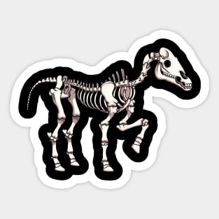 Horse Skeleton Sticker